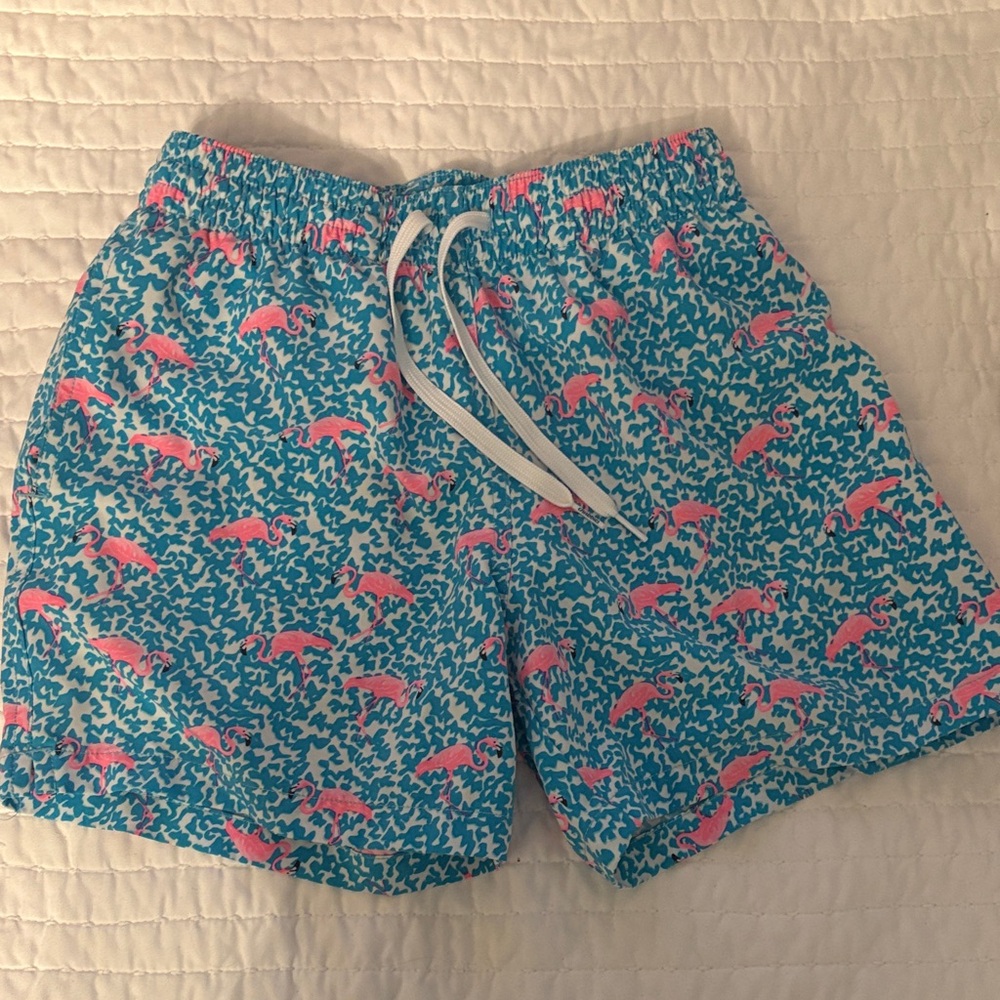 Chubbies men’s XS Teal and Coral Patterned Shorts